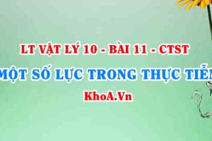 Công thức và Đặc điểm của trọng lực, lực ma sát, lực căng dây, lực đẩy Archimedes là gì? - Vật lí 10 bài 11